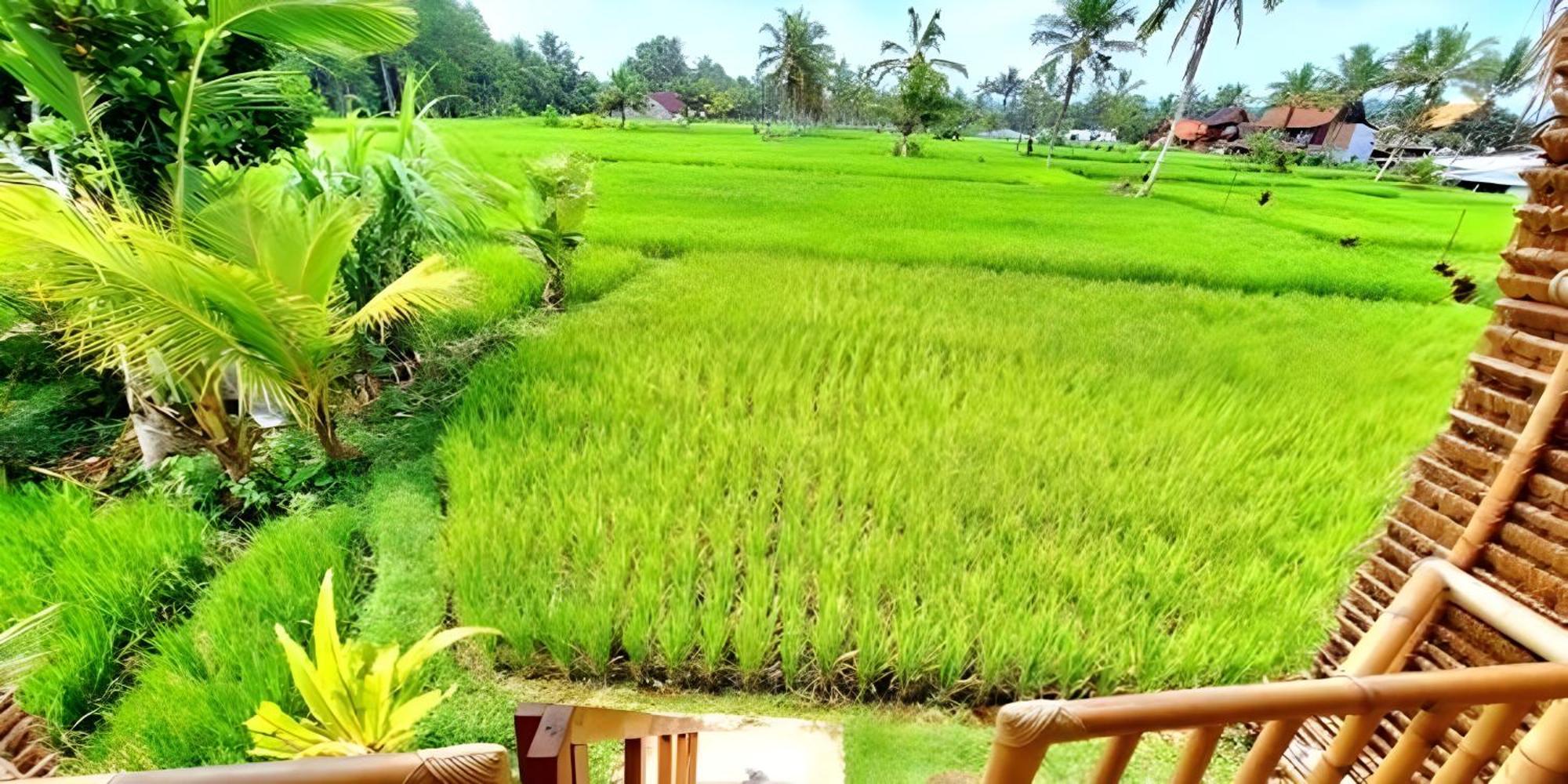 Lumbung Langit Bali House & Hostel Tampaksiring Exterior photo