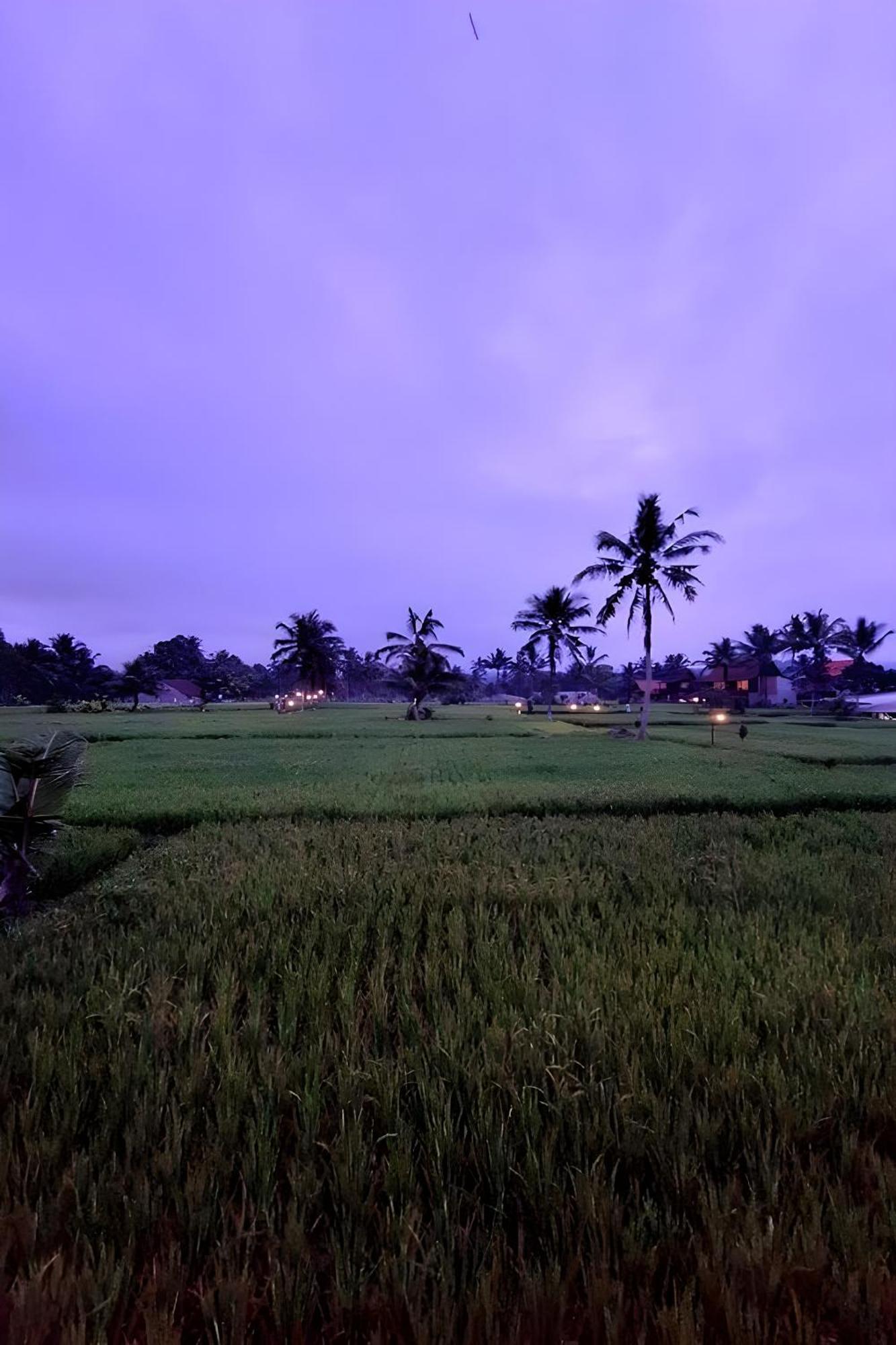 Lumbung Langit Bali House & Hostel Tampaksiring Exterior photo