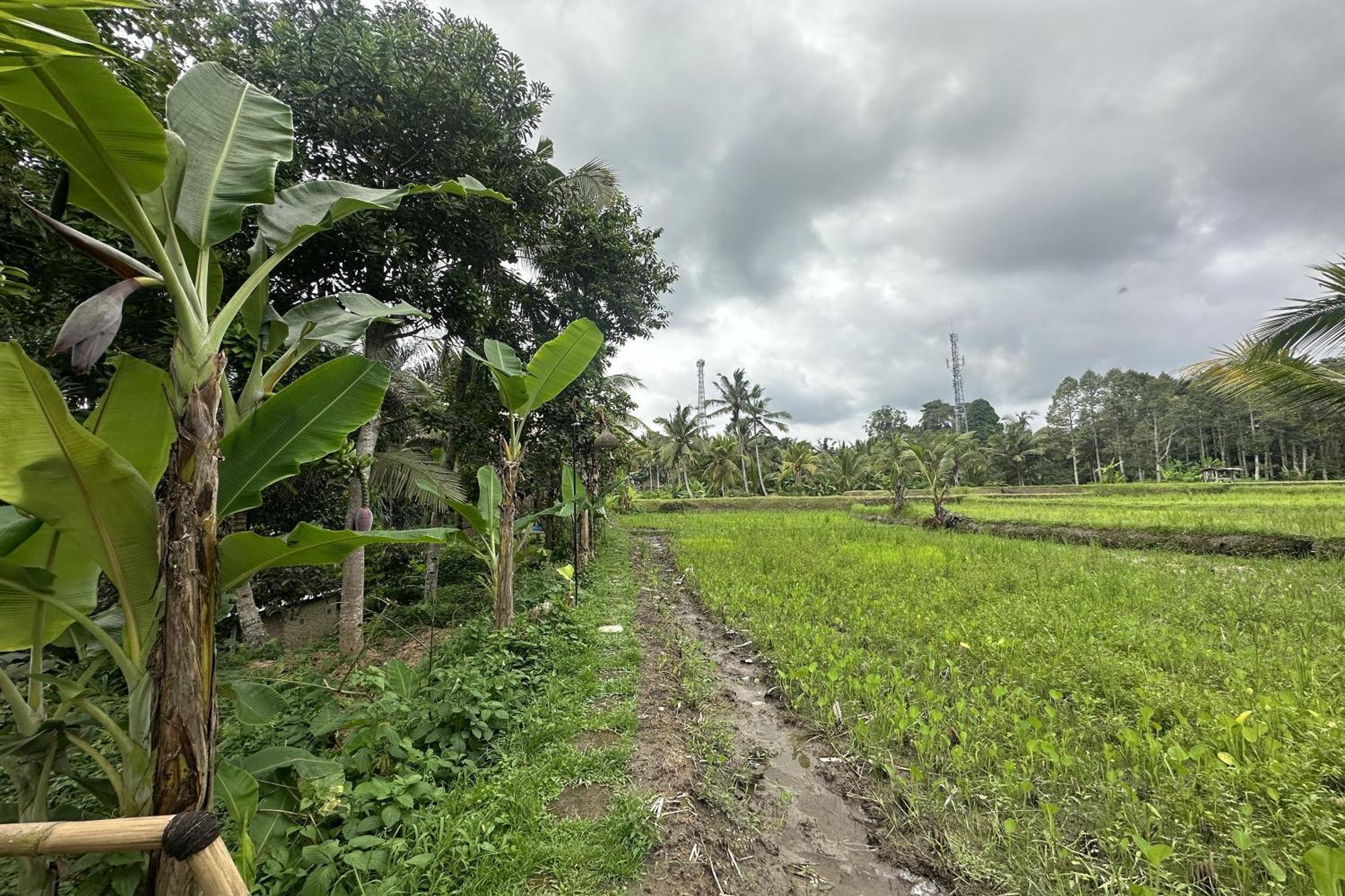 Lumbung Langit Bali House & Hostel Tampaksiring Exterior photo